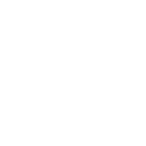 Silkroad band logo