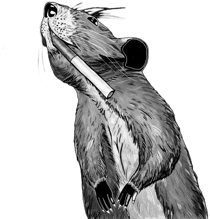 Ink drawing of an adorable, earnest rat. Art by RKV.